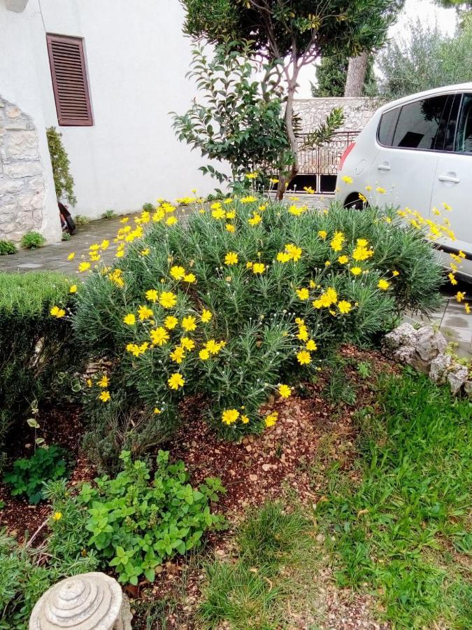 Apartments Rina Rovinj Exterior photo